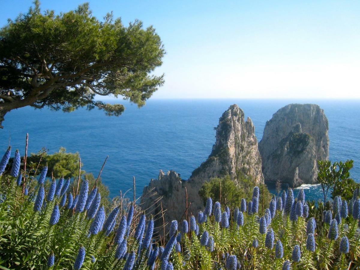 Casa Giovanna Capri Buitenkant foto